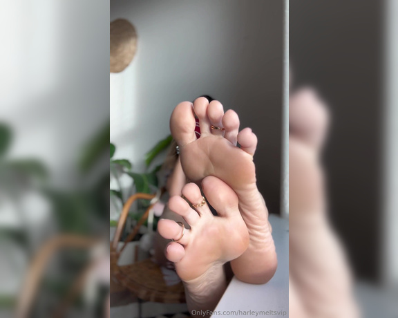 Harley melts aka harleymeltsvip OnlyFans - Good morning sleepy head, coffee with my pretty feet in your face