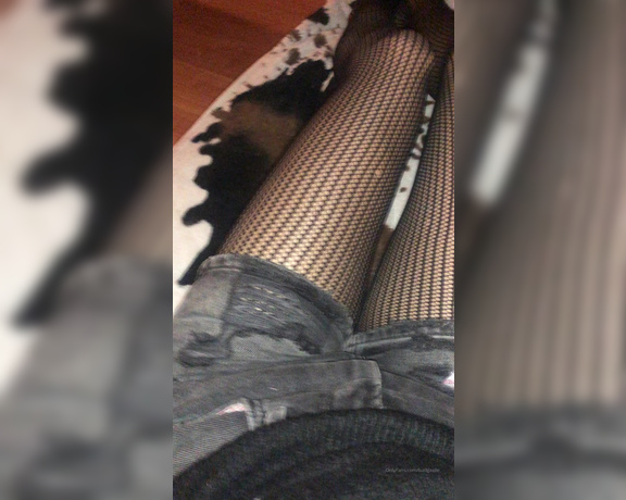 GoddessGaelle aka badgaelle OnlyFans - Jolis collants