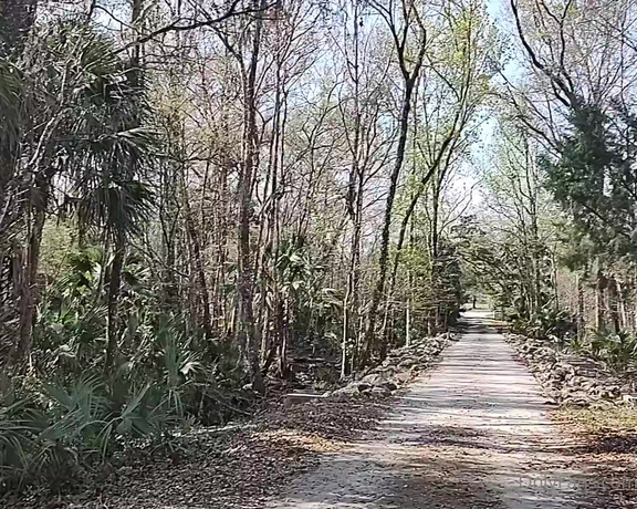 Mickee Springs aka mickeesprings OnlyFans - Florida PT 3  Silver Springs Forest  I love feeling the trees in FL Theyre so different 15