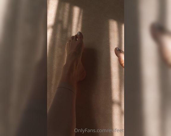 EviFeet aka evifeet OnlyFans Video 204