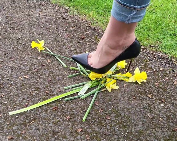 Kats Worn Heels aka katswornheels OnlyFans - Wishing you all a Happy Easter! Now watch my crush these Daffodils under my sexy Louboutins