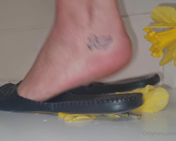 Kats Worn Heels aka katswornheels OnlyFans - 4 part clip of me crushing Daffodils inside and under the soles of my open back closed