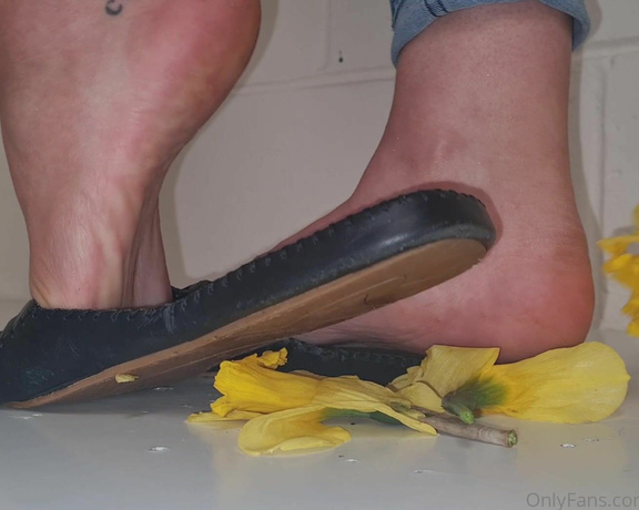 Kats Worn Heels aka katswornheels OnlyFans - 4 part clip of me crushing Daffodils inside and under the soles of my open back closed