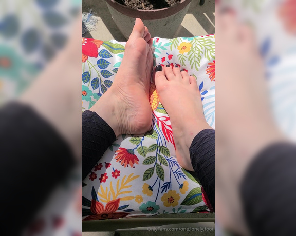 One lonely foot aka one.lonely.foot OnlyFans - My pretty feet in the sunshine