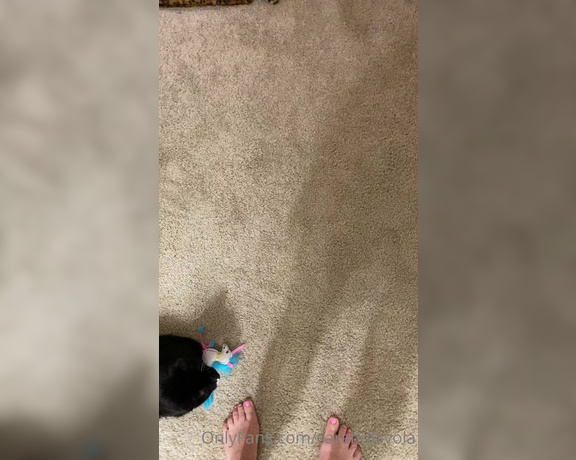 Sarah DiAvola aka sarahdiavola OnlyFans - Oh my gooood, my little ankle biter  and my FEET with pink toes!