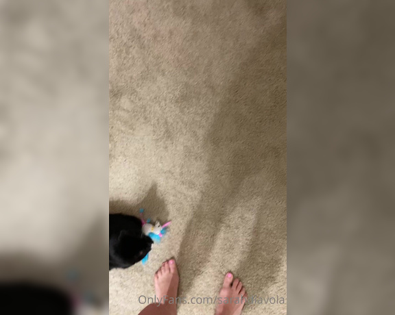 Sarah DiAvola aka sarahdiavola OnlyFans - Oh my gooood, my little ankle biter  and my FEET with pink toes!