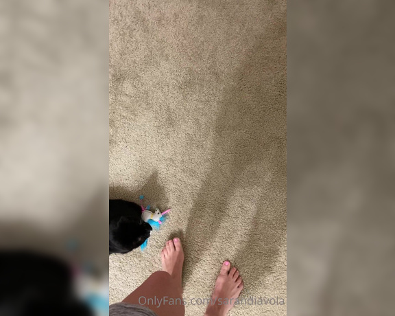 Sarah DiAvola aka sarahdiavola OnlyFans - Oh my gooood, my little ankle biter  and my FEET with pink toes!