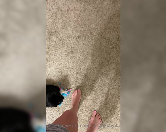 Sarah DiAvola aka sarahdiavola OnlyFans - Oh my gooood, my little ankle biter  and my FEET with pink toes!