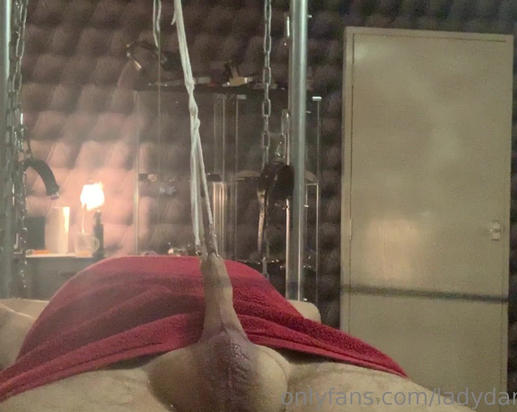 Lady Dark Angel aka Ladydarkangeluk Onlyfans - Session clip of a cock pinched & stretched with crocodile clips and then taking the cane many times