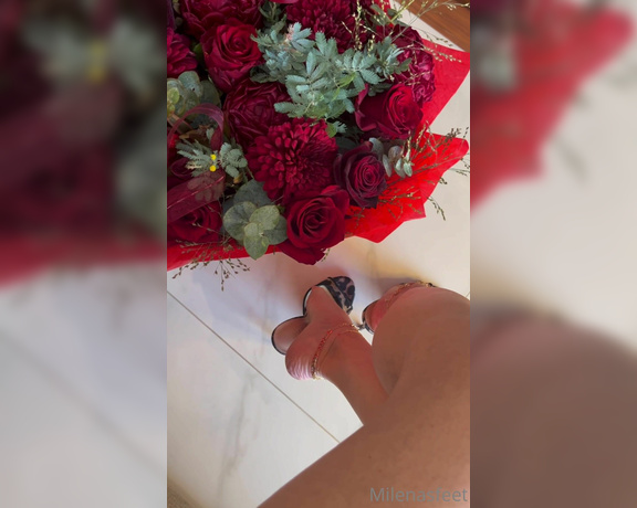 Simply Milena aka simplymilena OnlyFans - It’s Valentine’s Day in a few days…one of my fans here gave me these gorgeous flowers…thank