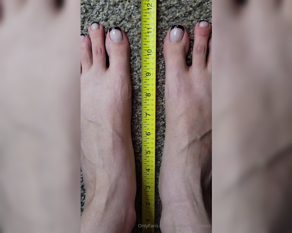 Megan Fletcher aka sweetsoleprincess OnlyFans - Requested  Measuring my feet from top view angle This requestor asked me to try