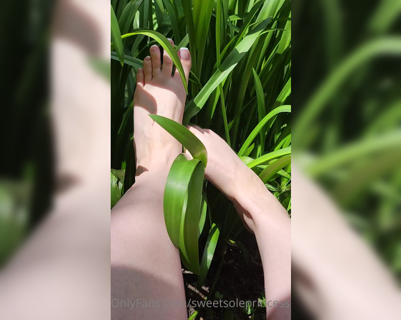 Megan Fletcher aka sweetsoleprincess OnlyFans - Playing in the sun with my new pedicure