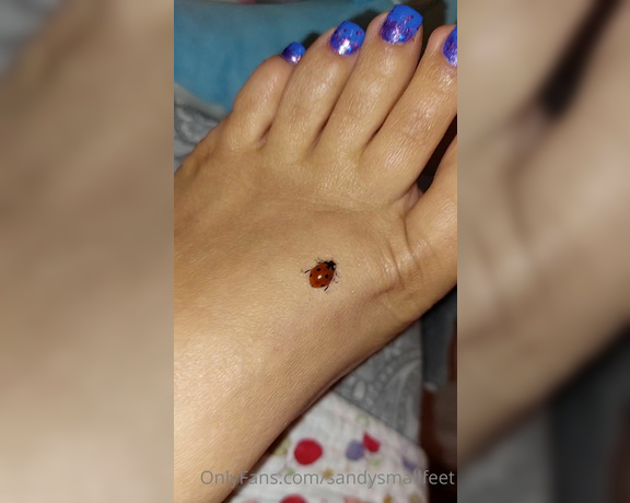 Mica Sandy aka sandysmallfeet OnlyFans - This little tickled me like crazy, so cute