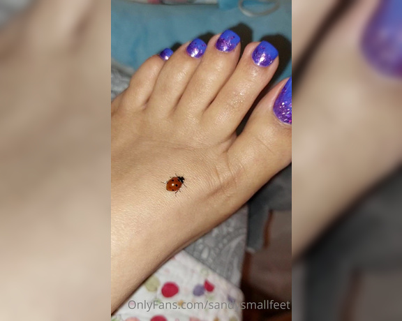 Mica Sandy aka sandysmallfeet OnlyFans - This little tickled me like crazy, so cute