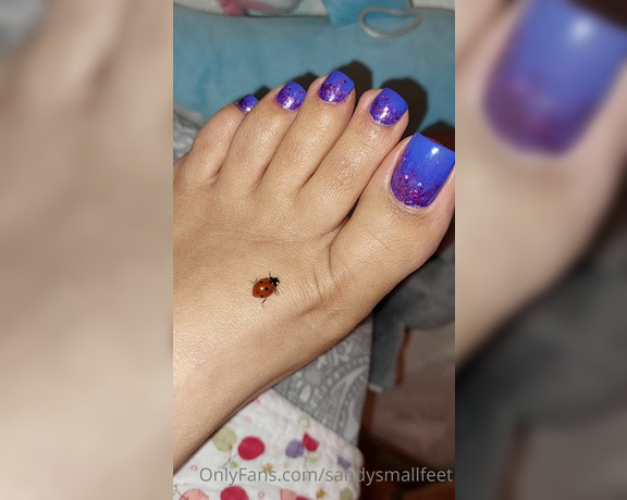 Mica Sandy aka sandysmallfeet OnlyFans - This little tickled me like crazy, so cute