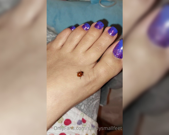 Mica Sandy aka sandysmallfeet OnlyFans - This little tickled me like crazy, so cute