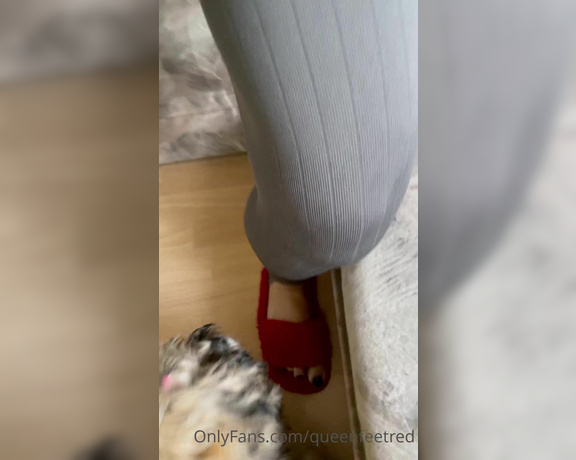 Queenfeetred aka queenfeetred OnlyFans Video 6686