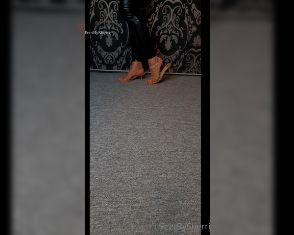 FeetBySherri aka feetbysherri OnlyFans - Shoe Showcase