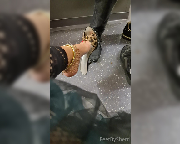 FeetBySherri aka feetbysherri OnlyFans - Public shoe dangling and teasing on the train Watch me drop my shoe twice !!