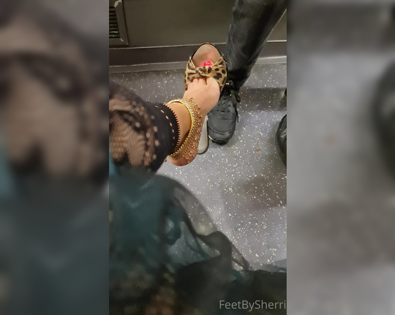 FeetBySherri aka feetbysherri OnlyFans - Public shoe dangling and teasing on the train Watch me drop my shoe twice !!