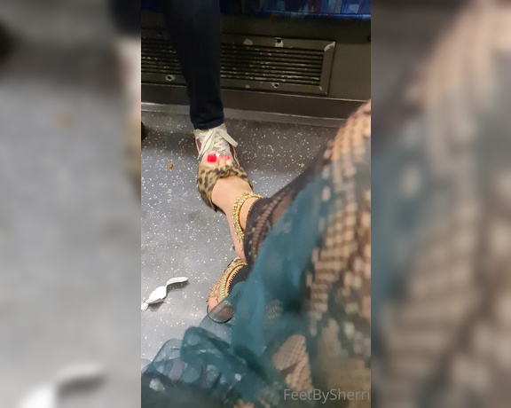 FeetBySherri aka feetbysherri OnlyFans - Public shoe dangling and teasing on the train Watch me drop my shoe twice !!