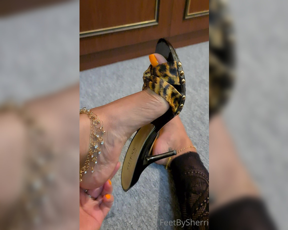 FeetBySherri aka feetbysherri OnlyFans - I these Guess mules