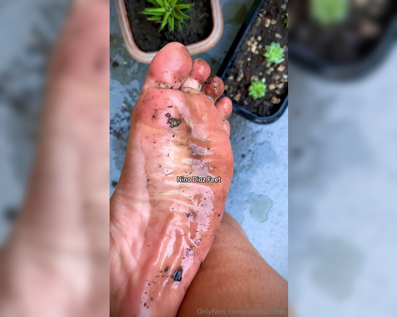 Nina’s Feet aka ninadiaz.feet OnlyFans - Mess with Mud! Today I was tidying up the garden and decided to replant