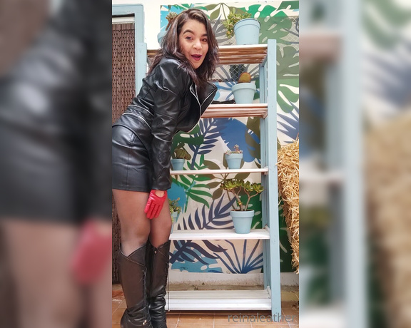 Reina Leather aka reinaleather OnlyFans - Suculenta DIY project