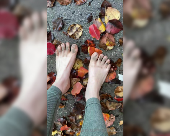 Athletoes aka athletoes OnlyFans - Had a lovely walk around barefoot today! It gave me the opportunity to get a little