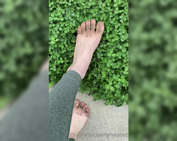 Athletoes aka athletoes OnlyFans - Had a lovely walk around barefoot today! It gave me the opportunity to get a little