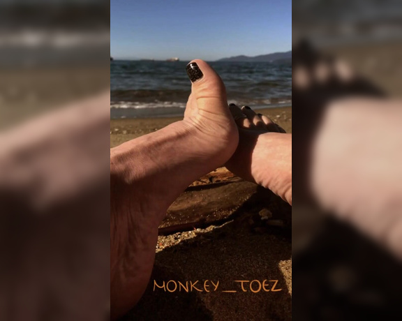 Monkey_solez aka monkey_solez OnlyFans - I love this done be a follower of my page