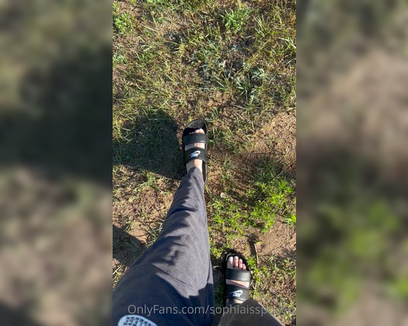 Miss Sophia Nyx aka sophiaisspoiled OnlyFans - New Clip Fresh white toes recently found trapped in local wildfire Hopefully not too soon