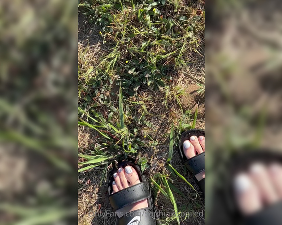 Miss Sophia Nyx aka sophiaisspoiled OnlyFans - New Clip Fresh white toes recently found trapped in local wildfire Hopefully not too soon