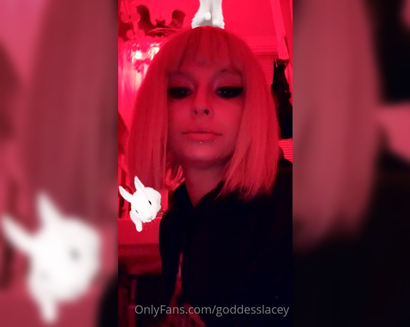 Goddess Lacey aka goddesslacey OnlyFans - You like my bunnies