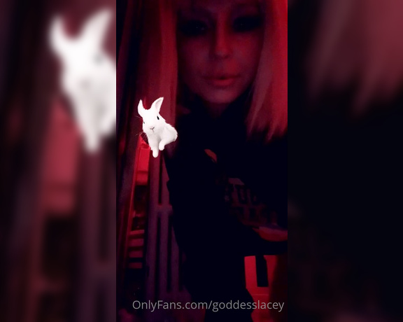 Goddess Lacey aka goddesslacey OnlyFans - You like my bunnies