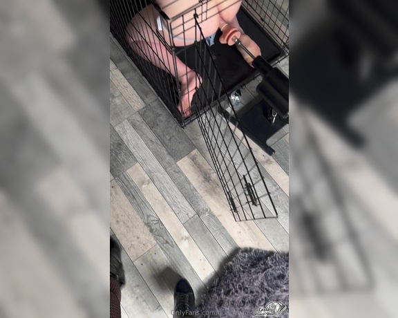 Goddess Jessica Jewels aka goddessjessicajewels OnlyFans - Collar chained to the cage, ass pounded relentlessly and eyes glued to an unreleased clip