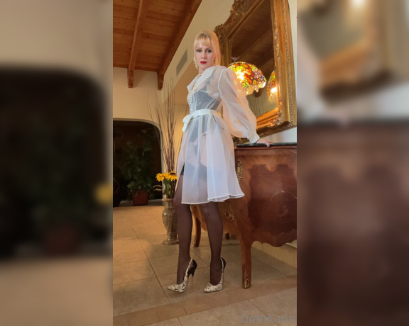 Mistress Karin von Kroft aka domkarin OnlyFans Video 7608