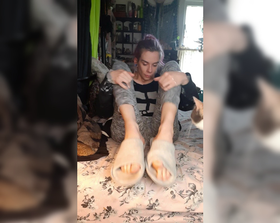 Hippiefeet23 aka hippiefeet23 OnlyFans - This is what I do in my spare time Smoke Pet my three legged wonder And