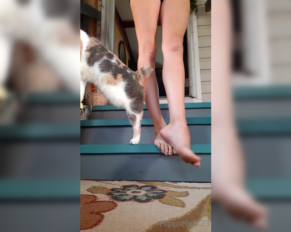 Hippiefeet23 aka hippiefeet23 OnlyFans - Morning stretches with my kitty