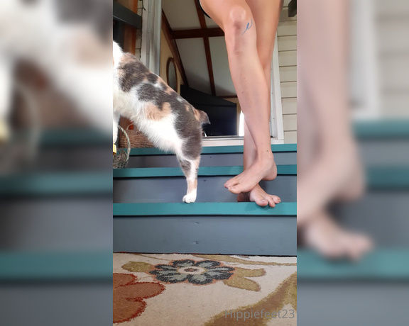 Hippiefeet23 aka hippiefeet23 OnlyFans - Morning stretches with my kitty