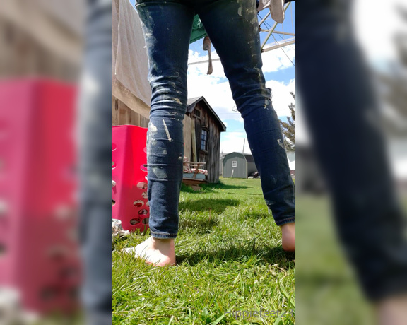 Hippiefeet23 aka hippiefeet23 OnlyFans - Keep me company while I hang laundry out! I cant wait to have the fence