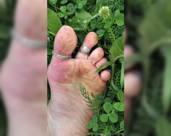 Frejas Submissive Feet aka frejassubmissivefeet OnlyFans - Just a little peaceful walk in nature, enjoying the silence and sound of grass, birds, water