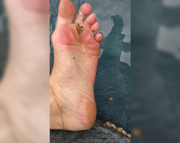 Frejas Submissive Feet aka frejassubmissivefeet OnlyFans - Dipping my feet in the pool