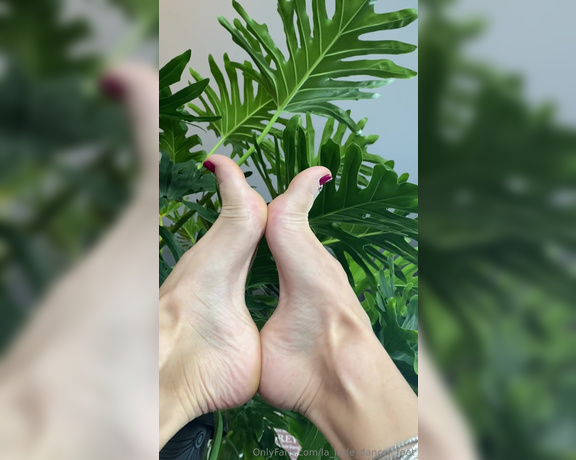 Lezlyan aka la_little_dancer_feet OnlyFans - Good Morning my Darlings I sure hope this video makes your cock stand up