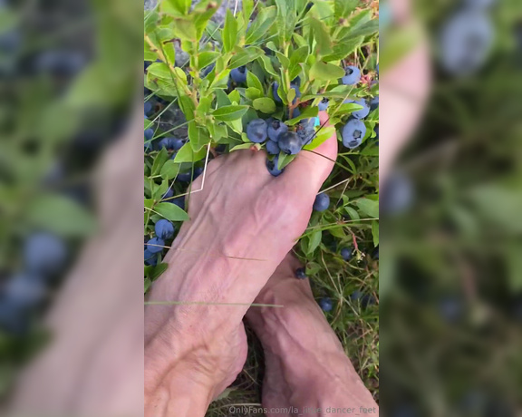 Lezlyan aka la_little_dancer_feet OnlyFans - Watching me pick and squish blueberries with my feet is a sight to behold