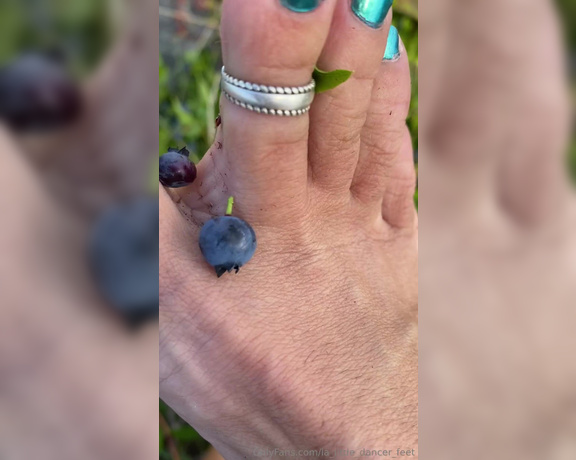 Lezlyan aka la_little_dancer_feet OnlyFans - Watching me pick and squish blueberries with my feet is a sight to behold