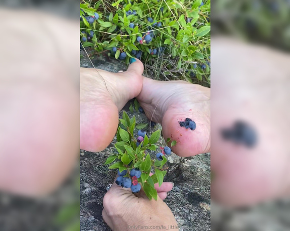 Lezlyan aka la_little_dancer_feet OnlyFans - Watching me pick and squish blueberries with my feet is a sight to behold