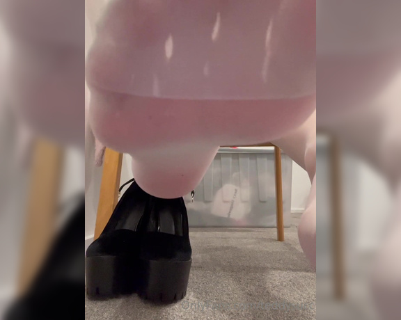 Teddysucc aka teddysucc OnlyFans - A whole 2 minute pov video of u being a pig teasing u with