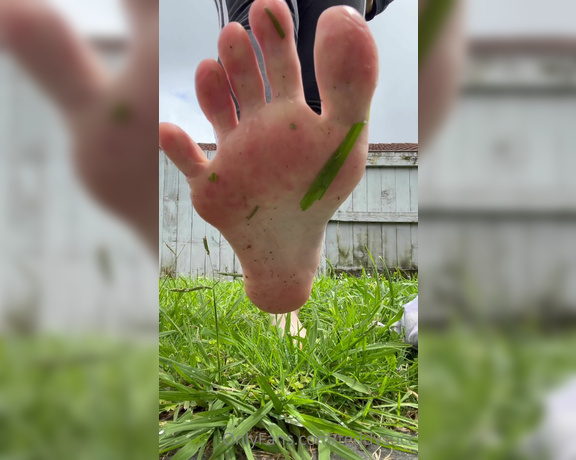 Teddysucc aka teddysucc OnlyFans - First videos of me Going outside in the grass and dirtying up my bare feet