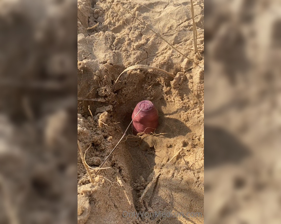 Mistress Ava Von Medisin aka avavonmedisin OnlyFans - Buried and made to fuck sand